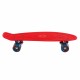 Penny board Street Surfing Beach