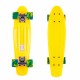 Penny board Street Surfing Beach