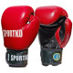 Manusi Box SportKO PK1