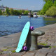 Penny Board Fish Classic 22”