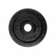 Disc Greutate Oțel inSPORTline 2,5kg/30mm