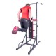 Aparat multifunctional inSPORTline Power Tower X150