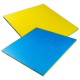 Saltea Puzzle Tatami inSPORTline Malmeida 100 x 100 x 4 cm