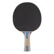 Paleta tenis de masa inSPORTline Shootfair S6