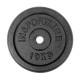 Disc greutate din fonta inSPORTline CastCzech 20 kg/ 30 mm
