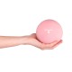 Minge inSPORTline Yoga 1 kg