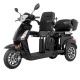 Scuter electric cu 3 roti 2 persoane inSPORTline Zorica Duo