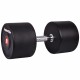 Gantera inSPORTline Profi 50 kg